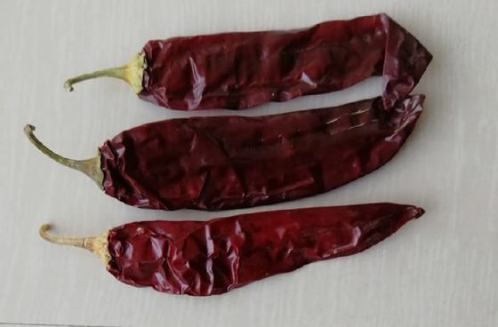 Dehydrate Sweet Paprika Pepper Non Irradiated Dried Red Chili Pods 140 Atsa