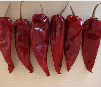 100g Natural Round Tianjin Red Chilies