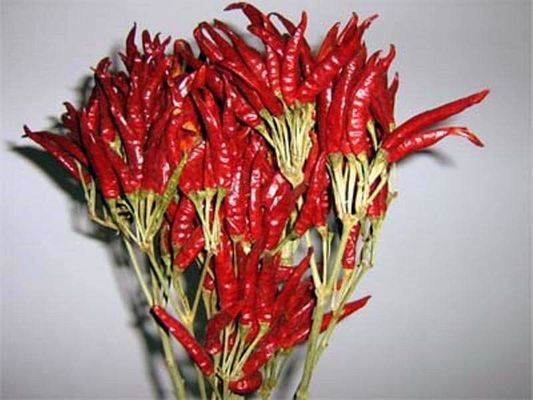 Stemless Chinese Dried Chili Peppers 819 High SHU Dried Hot Chillies