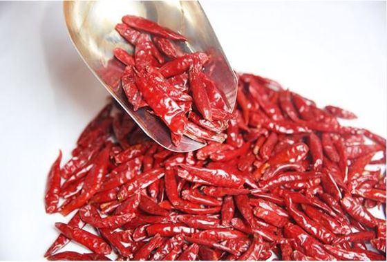 Stemless Chinese Dried Chili Peppers 819 High SHU Dried Hot Chillies