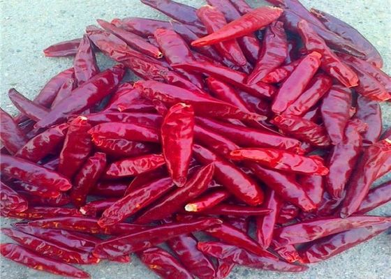 8% Moisture Dried Whole Red Chilies