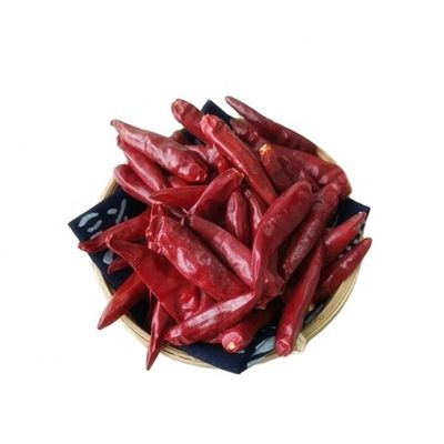 7CM Tianjin Red Chilies