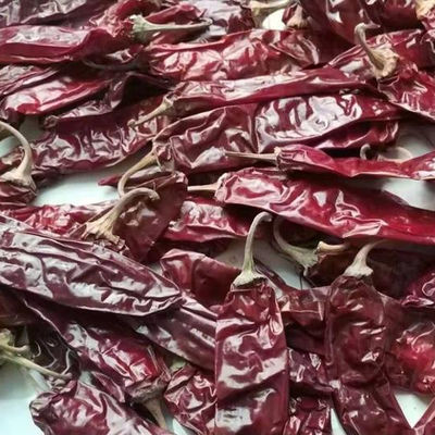 240ASTA Sweet Paprika Pepper Seedless Dried Whole Red Chilies NO Pigment