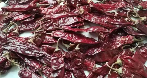Dehydrated Red Sweet Paprika Chilli Color Pigment Extraction Hot Chili Peppers