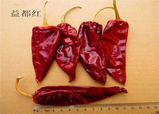 Stemless Dried Long Red Chillies 3000SHU Red Chili Pods KOSHER