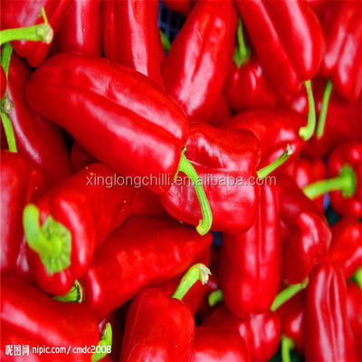 Yidu Dried Red Chile Peppers Food Condiment 9CM Chile Pods For Pozole