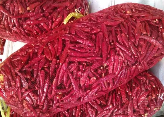 8% Moisture Dried Whole Red Chilies