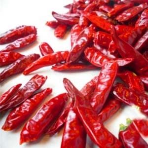 Chinese Dried Red Chili Peppers Chaotian Szechuan Dried Chili Zero Additive