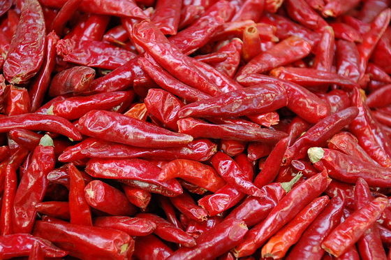 8% Moisture Tianjin Red Chilies No Additive Raw Dried Chinese Chilis