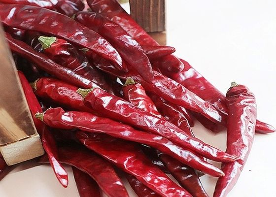 MUI Tianjin Red Chilies Authentic Red Chilli Pods Single Herb