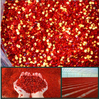 Dehydrated Crushed Chilli Peppers 5mm Red Chili Flakes 8 Mesh