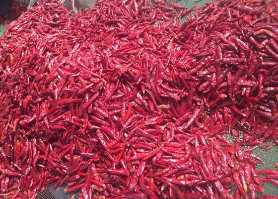 Tianjin Round Red Chilies (100g)