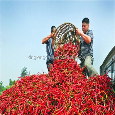 Red Erjingtiao Dried Chilis Spicy Stemmed Dehydrating Chili Peppers