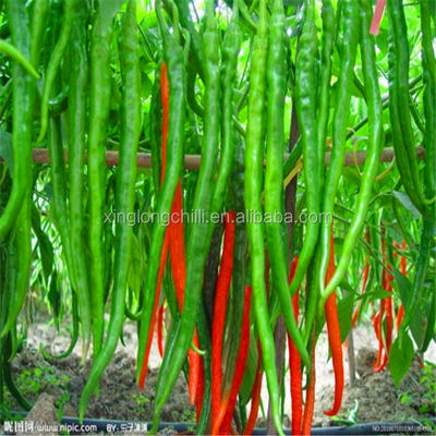 Red Erjingtiao Dried Chilis Spicy Stemmed Dehydrating Chili Peppers