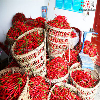 Red Erjingtiao Dried Chilis Spicy Stemmed Dehydrating Chili Peppers