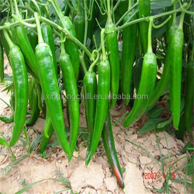 Red Erjingtiao Dried Chilis Spicy Stemmed Dehydrating Chili Peppers