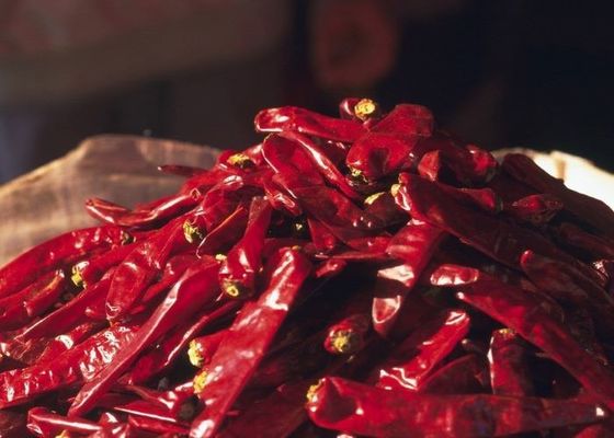 8000-12000shu Hot Erjingtiao Pepper With Dry Place Storage