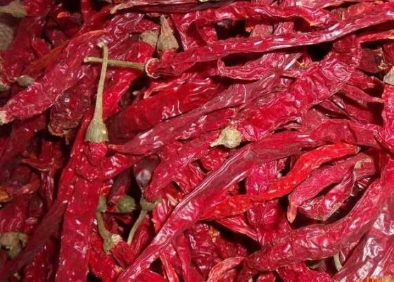 Red Erjingtiao Dried Chilis Spicy Stemmed Dehydrating Chili Peppers