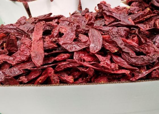 Stick shape Cherry Red Guajillo Chilis Grade A 10-15cm Size