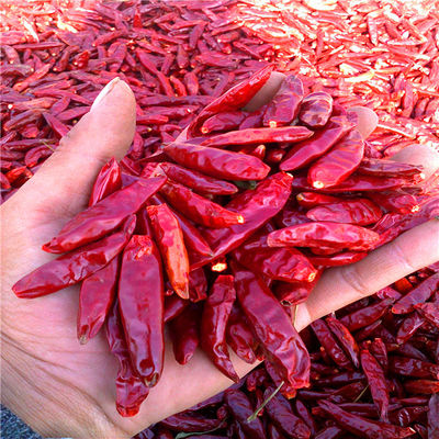Tientsin Dried Red Chilli Peppers 15000SHU Dehydrated Spicy Red Paprika