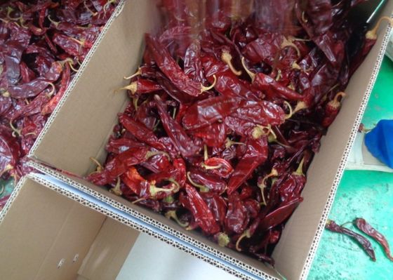 HACCP Dried Paprika Peppers 16% Moisture Sweet Dehydrating Chillies
