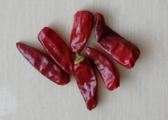 Chaotian Round Dried Red Chillies 6CM 30000SHU Whole Chilli Pods