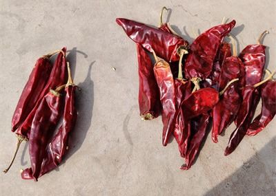 Dried Long Red Chillies Sweet Organic Guajillo Peppers 10cm Length