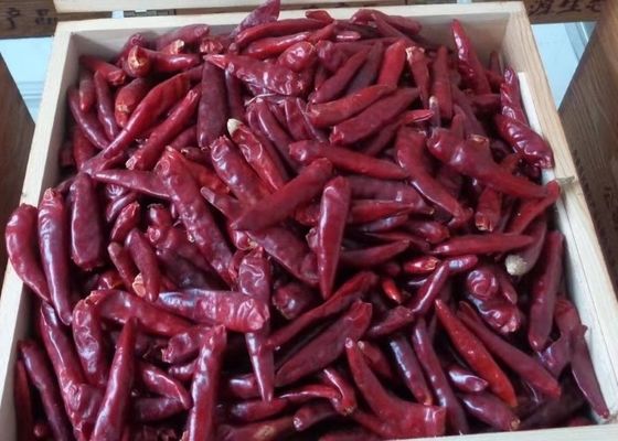 Organic De Arbol Chile Tianjin Dried Spicy Peppers 50000SHU Super Hot