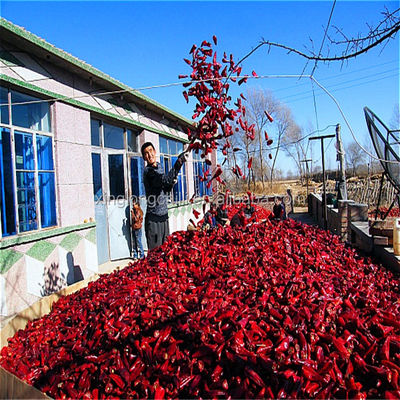 5000SHU Mild Dried Chilies Stemmed Grade A Dried Red Chile Pods