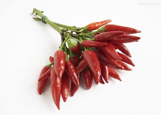 S17 Dried Red Chile Peppers Stick Shape Whole Chilli Pods Spices