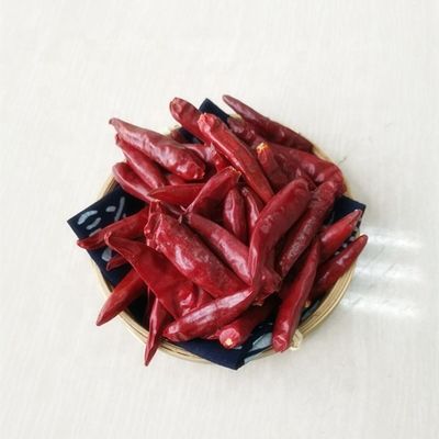 7CM Dried Long Red Chillies 50000SHU Dehydrated Tianjin Chili ISO