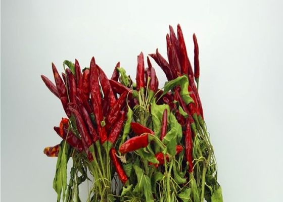 7CM Dried Long Red Chillies 50000SHU Dehydrated Tianjin Chili ISO