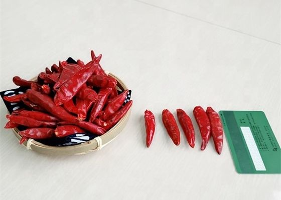 Zero Addition Small Red Dried Chillies Premium 10KG Tianjin Peppers