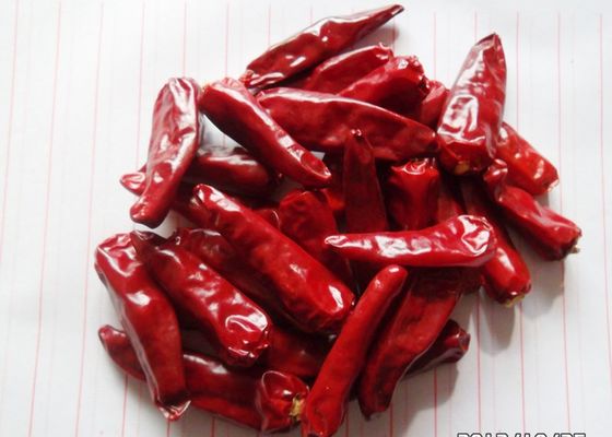 In Vitamin C Red Jinta Chilli Pepper