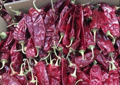 15% Moisture Sweet Paprika Pepper Pungent Dried Chili Pods 18CM