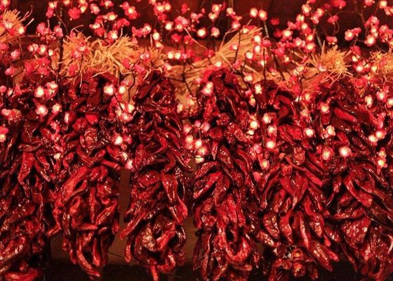Long Dry 8000SHU Dried Red Chilli Peppers 20Kg Pungent Flavor
