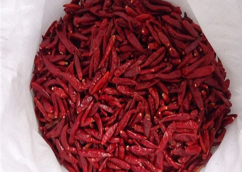 Red Dehydrating Cayenne Peppers Drying Out 15000SHU Pungent Flavor