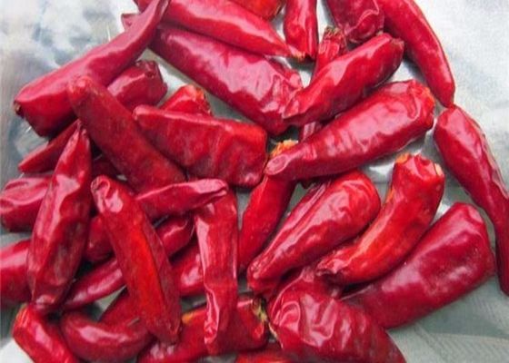 Crop Chilli Ingredients Store In Cool And Dry Place