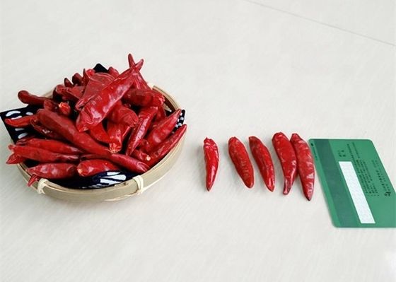 HALAL Sun Dried Chillies 12% Moisture Tien Tsin Chilli Pepper Capsicum
