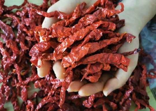 Spicy Fragrance Xian Chilli 15CM Sun Dried Red Peppers 10000SHU