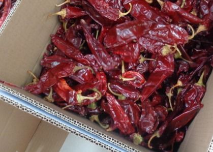 KOSHER Dried Guajillo Chili Hot 500SHU With or Without Stem Impurity 0.3% Max Product