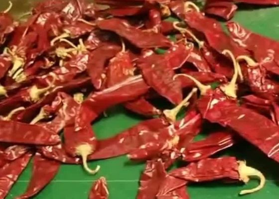 8000SHU Cherry Red Guajillo Chilis AD Drying Chile Guajillo Pods Stick Shape
