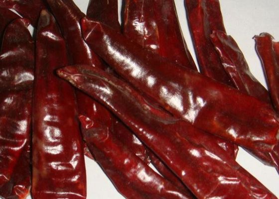 Medium Hot Dried Guajillo Chili Nature Red Chile Peppers