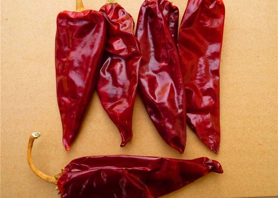 Dried Yidu Chili With Stem Grade A Dried Red Chile Pods