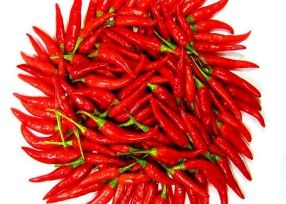 GMP Dried Birds Eye Chilli Peppers Chinese With Seeds 15000SHU