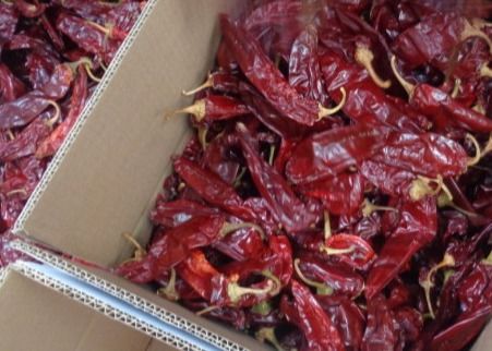 Dehydrated Cherry Red Guajillo Chilis 13CM Dried Long Red Chillies 100 SHU