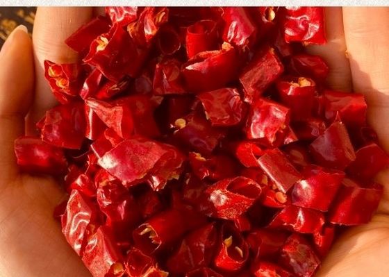 Planting Base And Processing Hot Chinese Dried Chili Peppers Nature Red