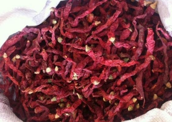 Seasoning Dried Red Chilli Peppers For All The Spice Importer 4-7 Cm