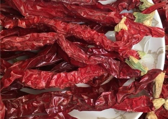 Guizhou Mantianxing Millet Pepper Dry Chili Hot Pot Seasoning Raw Material Spices