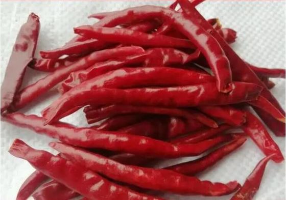 Chaotian Dried Red Chilli Whole Red Chilies Tianjin Chili Dehydrated